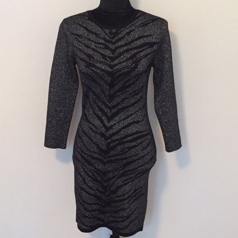 Express Sweater Dress